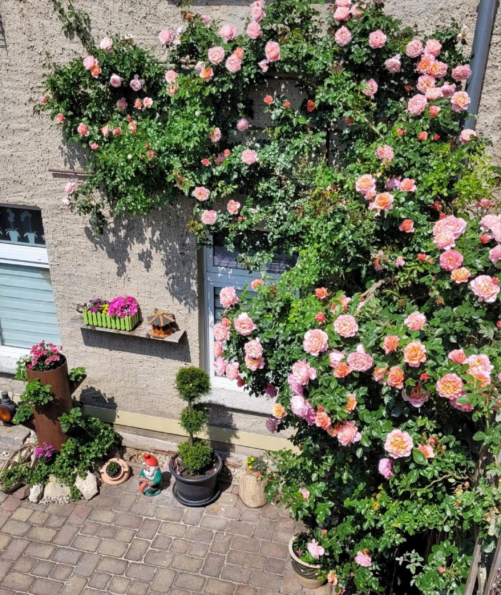 Ferienwohnung Domblick Naumburg  Exterior foto